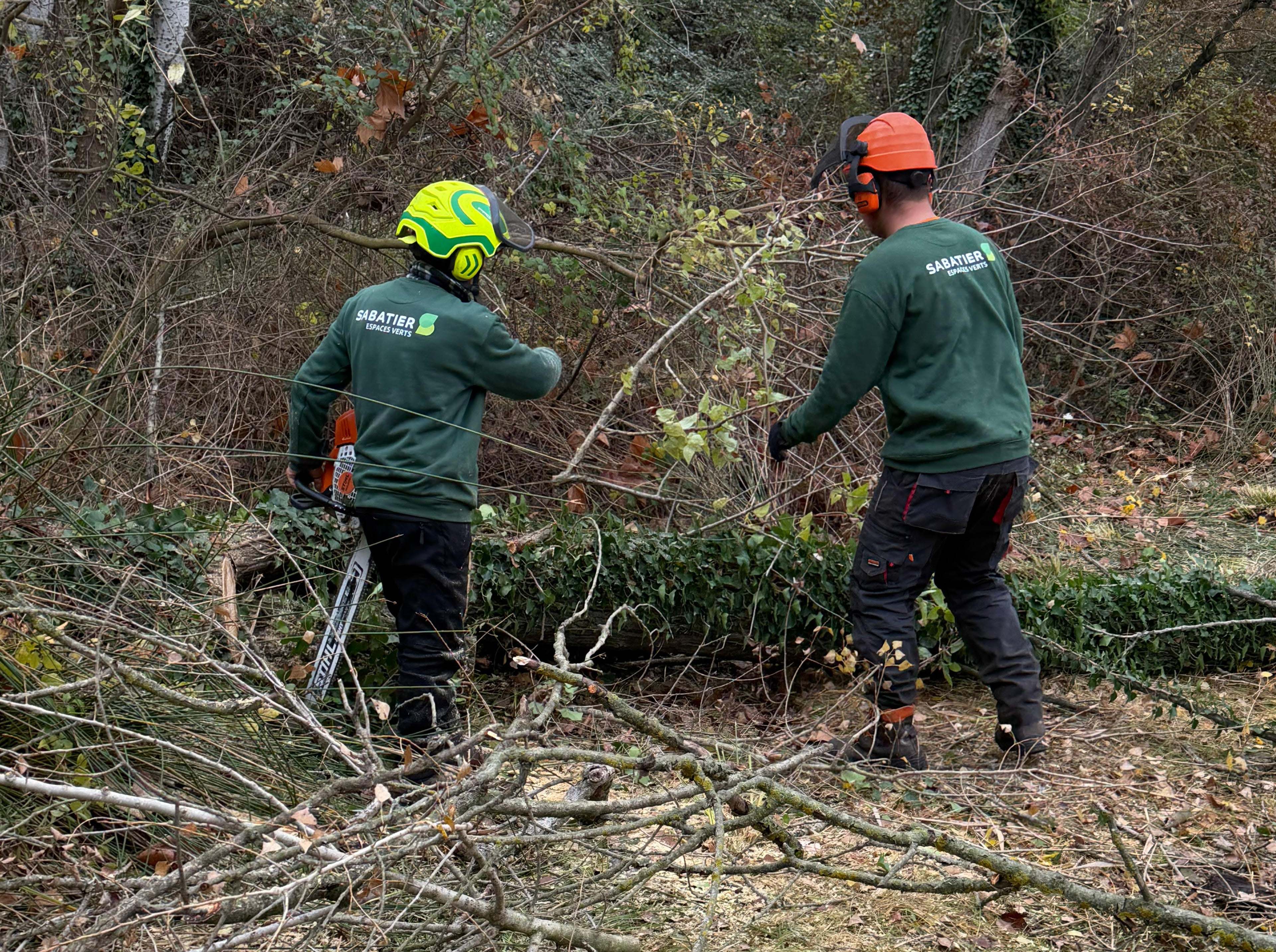 Équipe du Groupe Sabatier réalisant des travaux d’élagage avec équipements de protection, dans le respect des normes de sécurité.