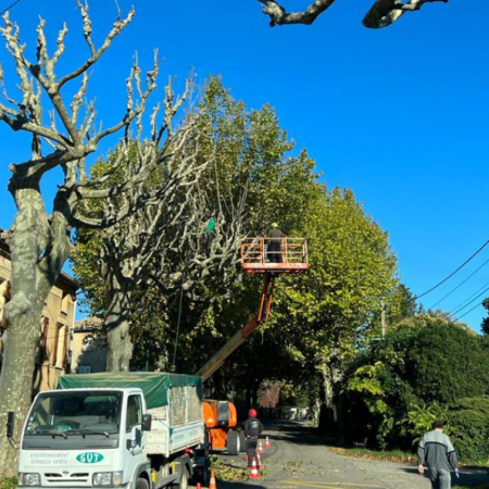 Élagage des platanes à Mondragon