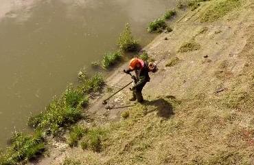 Débroussaillage bord de rivières et berges