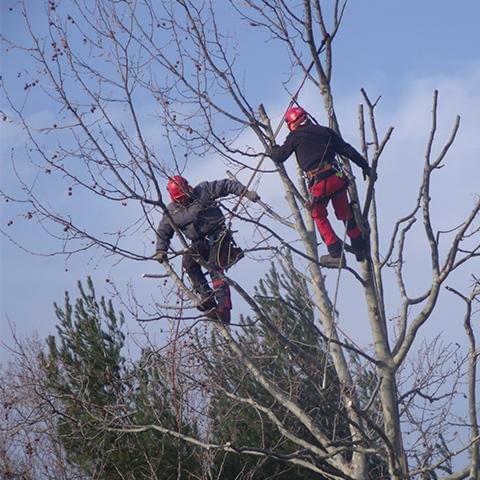 Les travaux sur corde