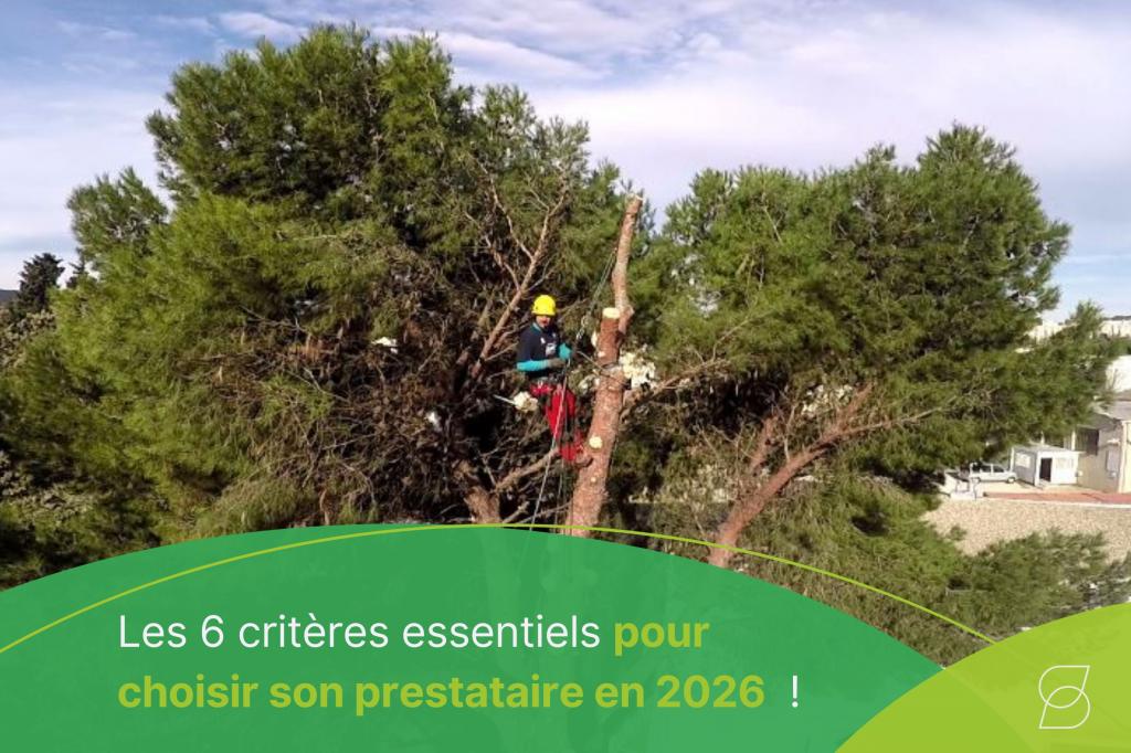 Les 6 critères essentiels pour choisir son prestataire en 2026