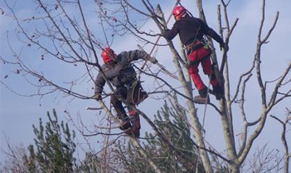 Les travaux sur corde