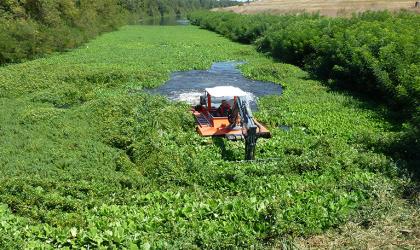 L'activité espaces verts du Groupe Sabatier