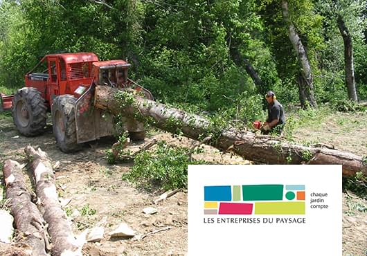 Élagage, taille des arbres Vaucluse