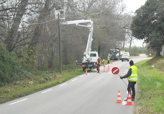 Élagage et taille des arbres voie publique Vaucluse, Drôme, Ardèche