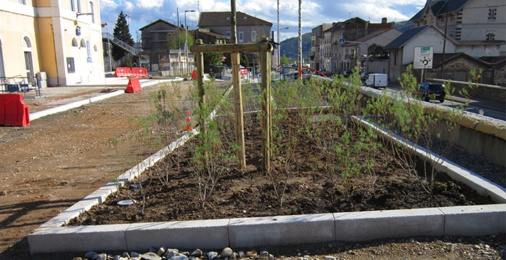 Le génie végétal de Sabatier